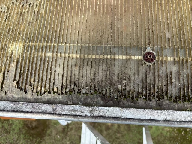 仙台市青葉区 現地調査 表面からもカビが発生しているサンルーム屋根