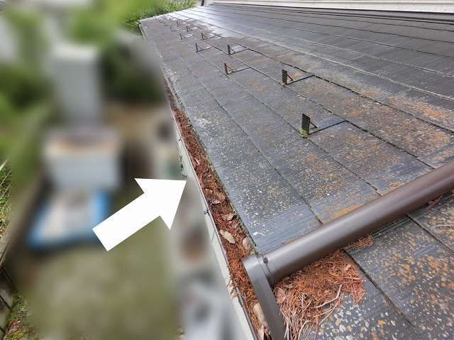  仙台市青葉区-雨樋清掃-現地調査の様子