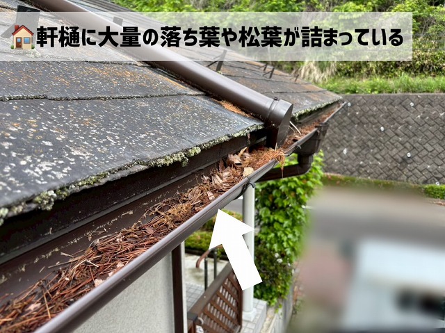  仙台市青葉区-雨樋清掃-現地調査の様子