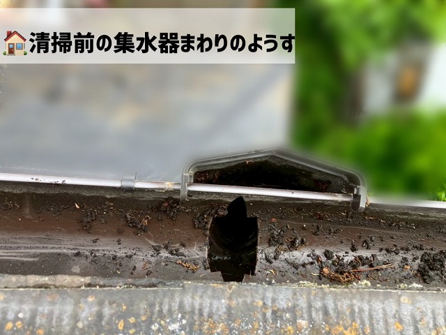 仙台市青葉区-雨樋清掃途中のようす