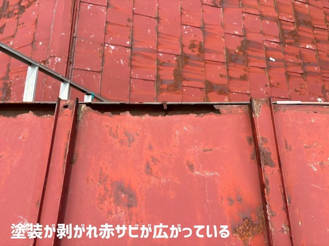 大崎市-瓦棒屋根-現地調査-赤錆が屋根に広がっている