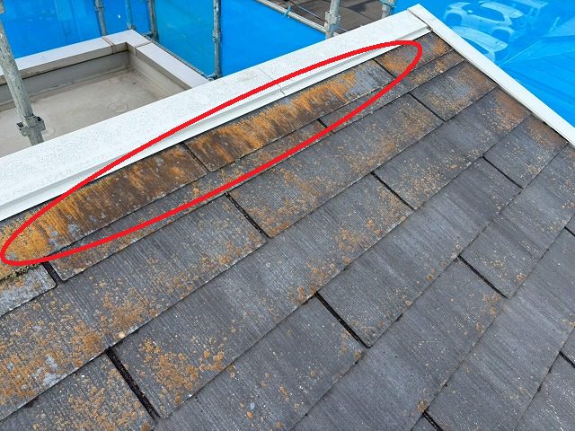 富谷市 カバー工事 片棟板金付近に苔が発生している