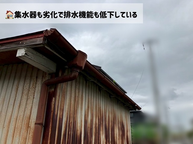 岩沼市-雨樋とポリカ波板の現地調査-雨樋破損