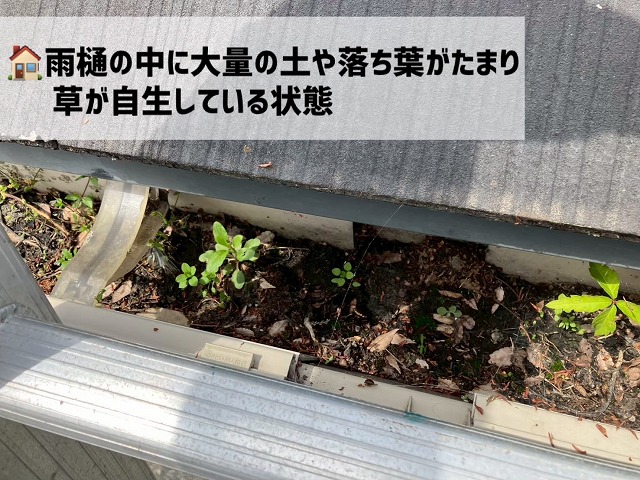  登米市-雨樋清掃-汚れている雨樋