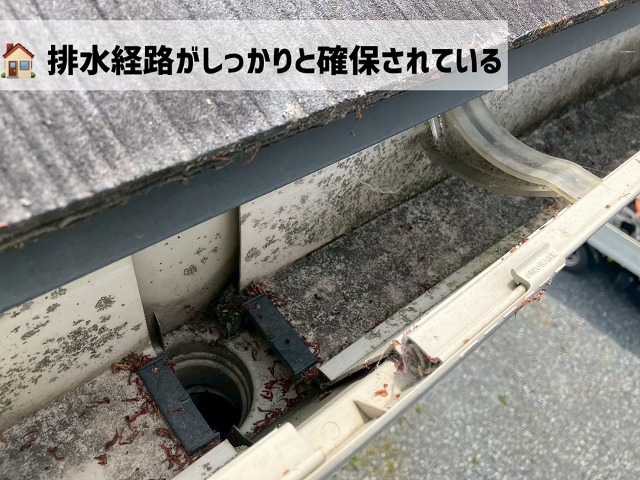  登米市-雨樋清掃-清掃後の集水器周辺