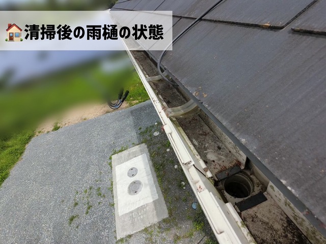 登米市-雨樋清掃後