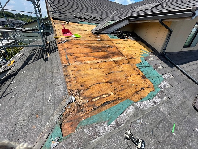 屋根下地も雨漏りで傷んでいます