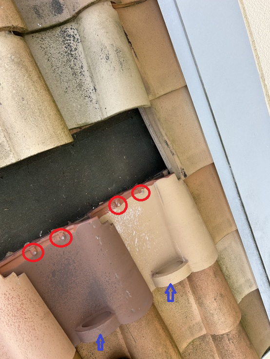 輪っか付きの雪止め瓦を釘で固定