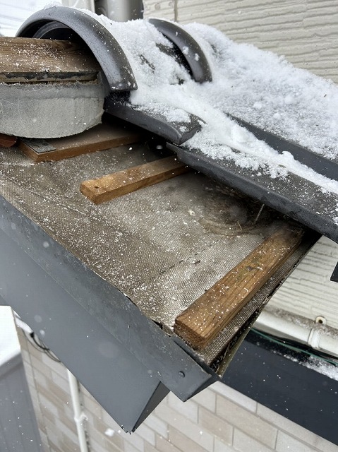 瓦屋根　鳥の巣　撤去し掃除