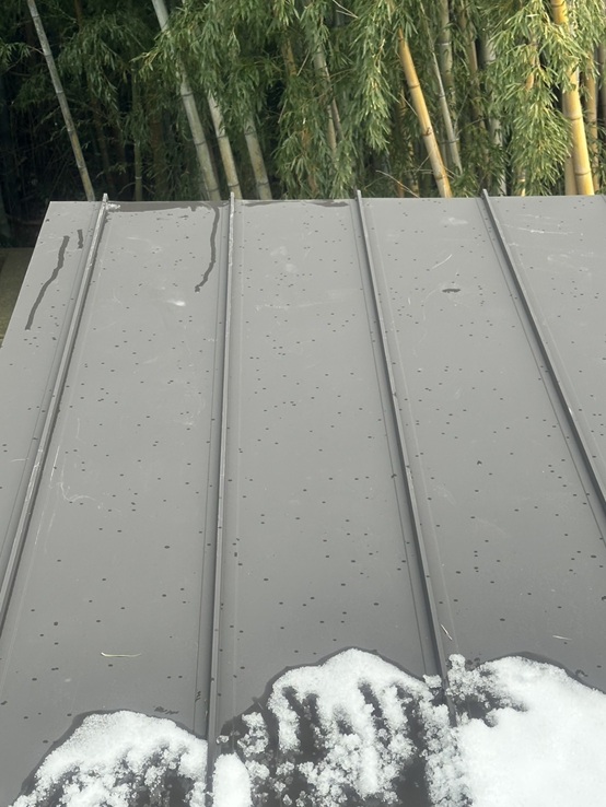 お住まいの裏の竹が倒れて屋根が傷つきました