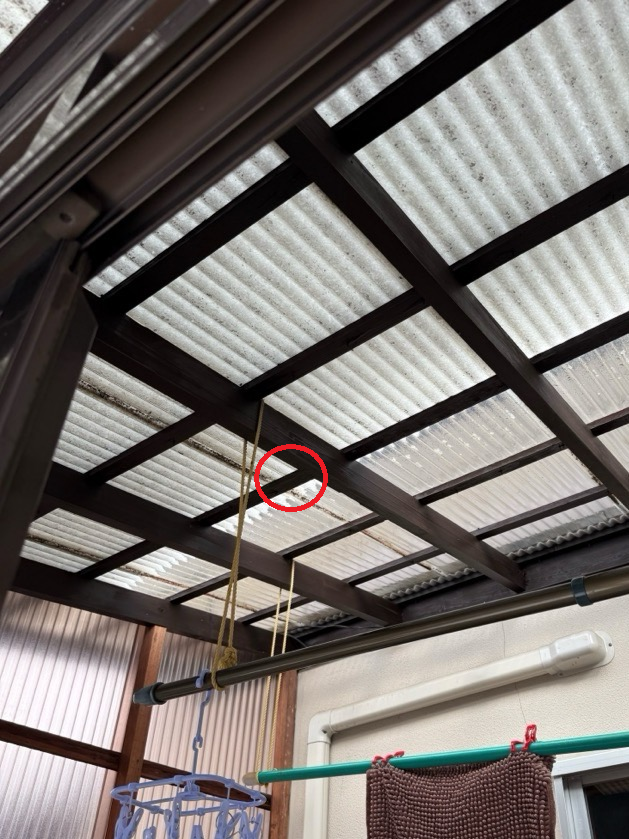 サンルーム屋根ポリカ波板の重ね目から雨漏り
