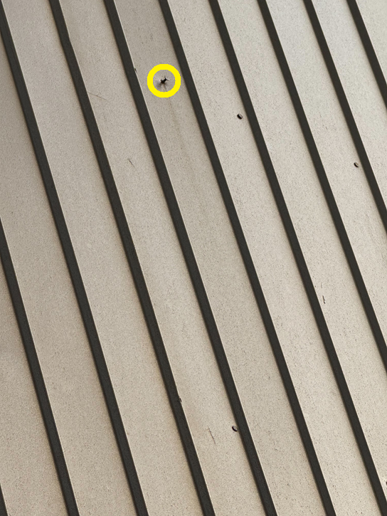 トタンを固定している釘が浮いている