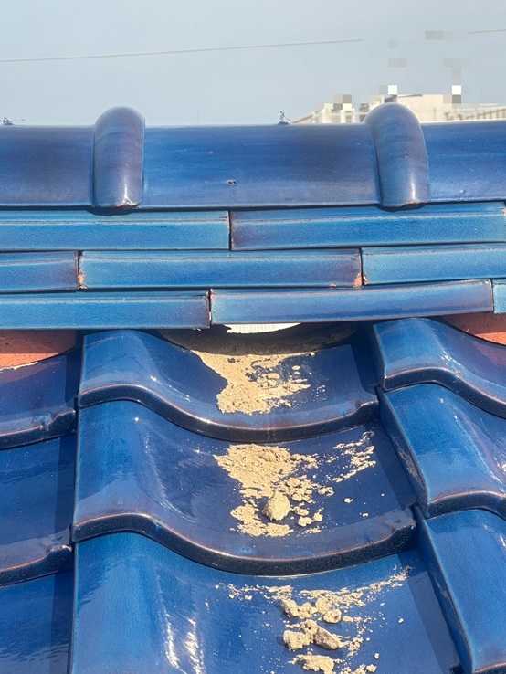 土が中から出てきています