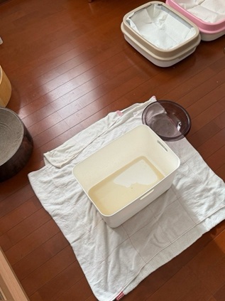 雨漏りしてきた水