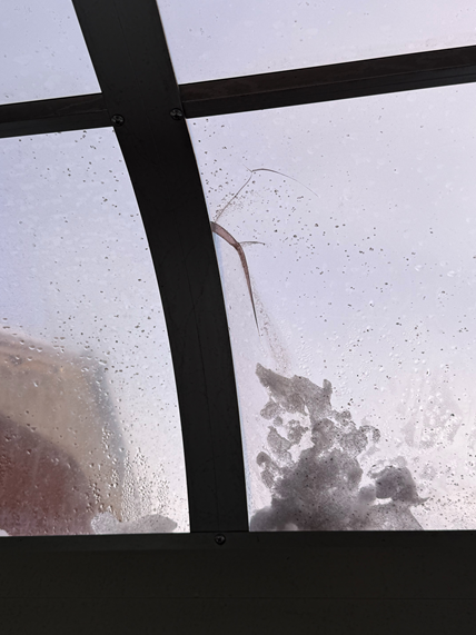 屋根パネルひび