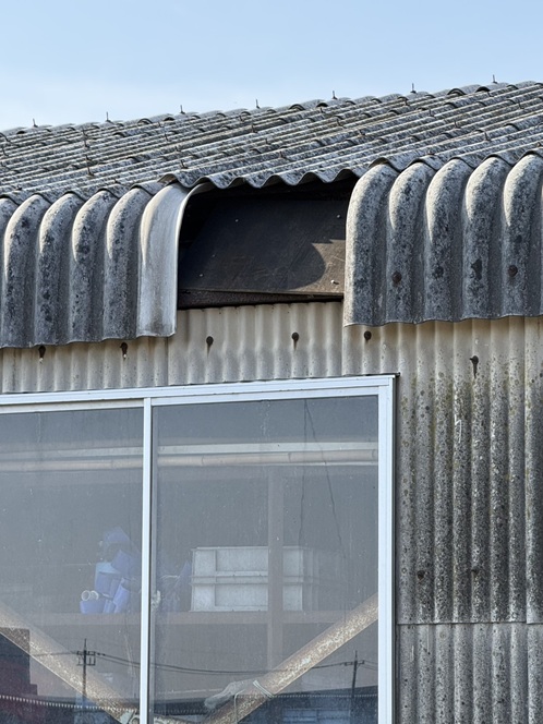 スレート波板が1枚剥がれています