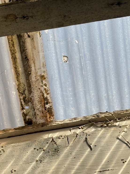 物干し場の樹脂製の屋根に穴があいています