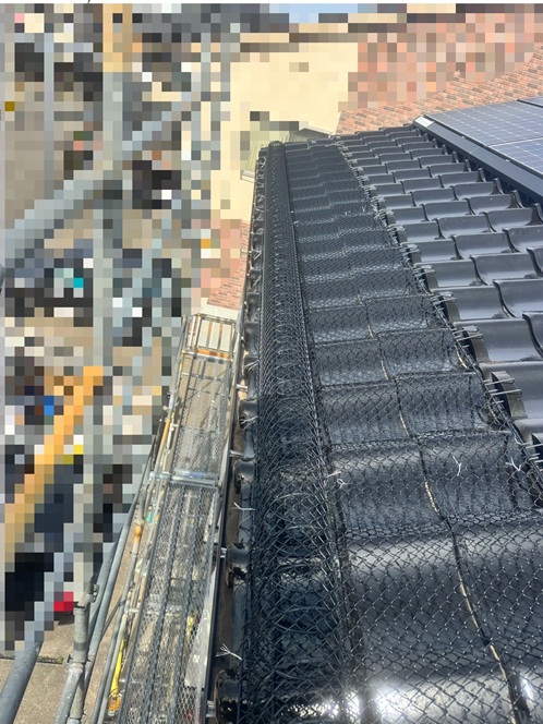 ゆきもちくん施工完了