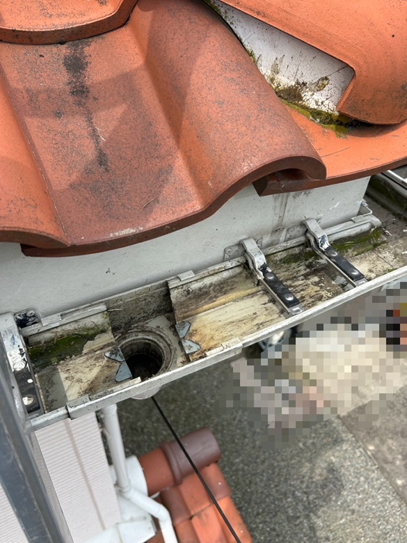 鳥の巣撤去後清掃