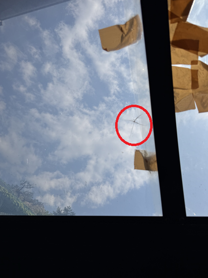 屋根パネルの割れ