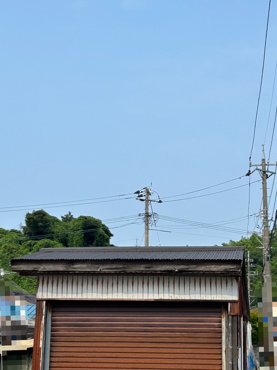 SGLガルバリウム鋼板の波板の屋根へ！葺き替え工事　施工完了です✨