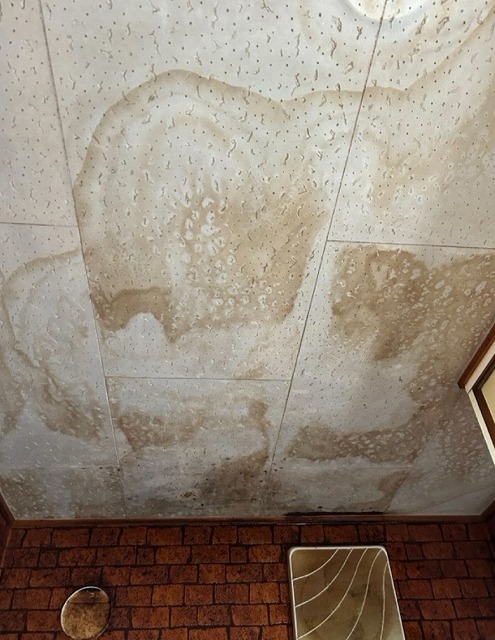 雨漏り　天井のシミ