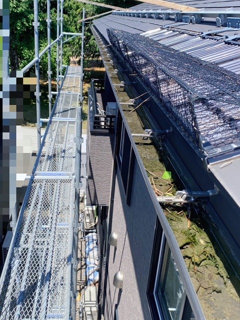 雨樋　掃除　前