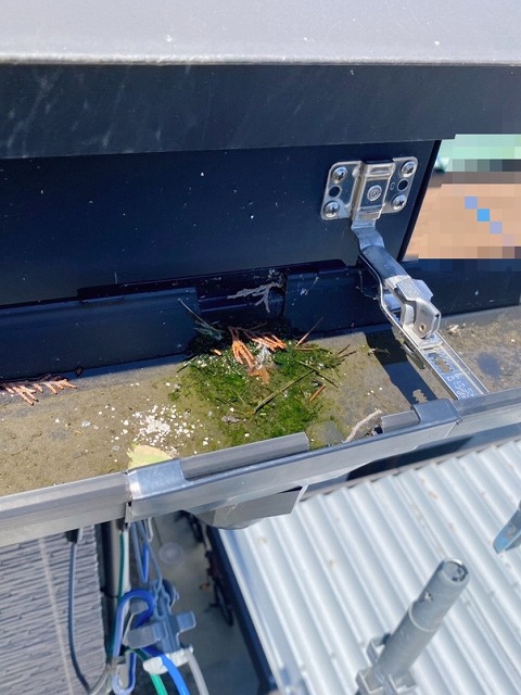 雨樋　掃除　前