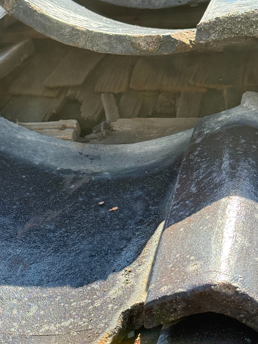 屋根の木下地が傷んでいます