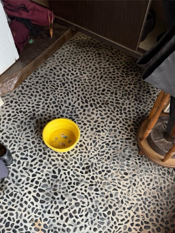 玄関の天井から雨漏り