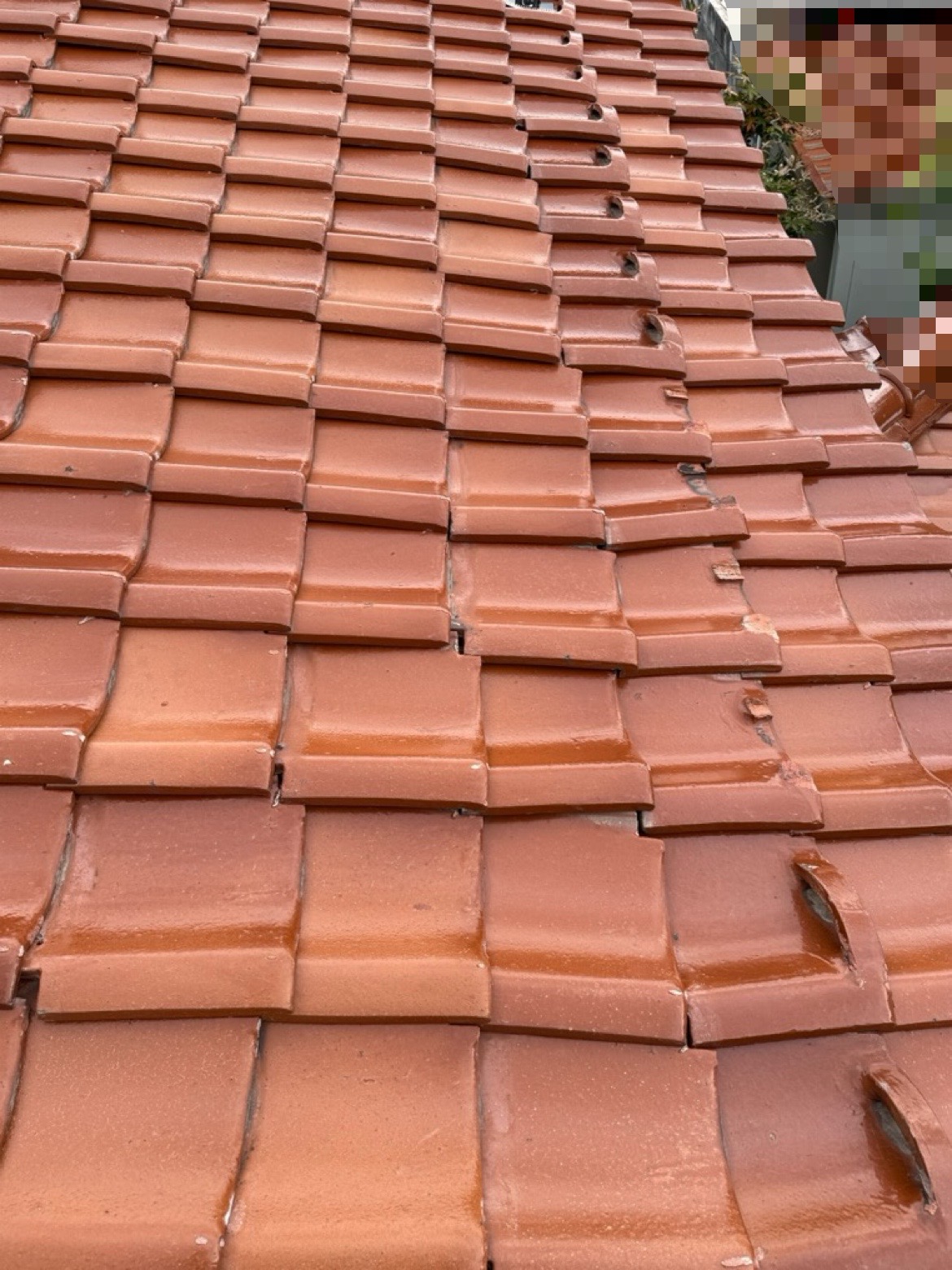 瓦がズレていました