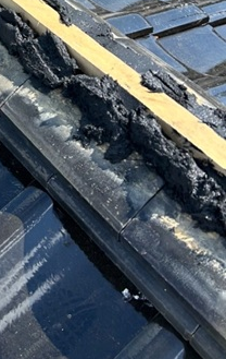 強化棟金具の上に芯木