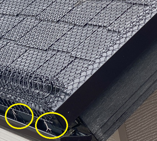 雨樋の金具に固定しました