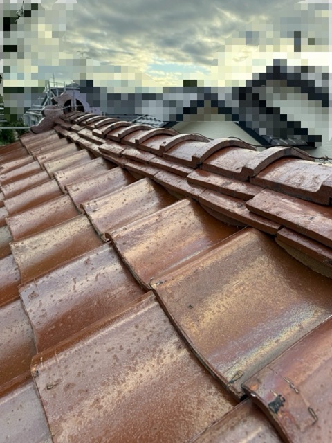 屋根全体も確認