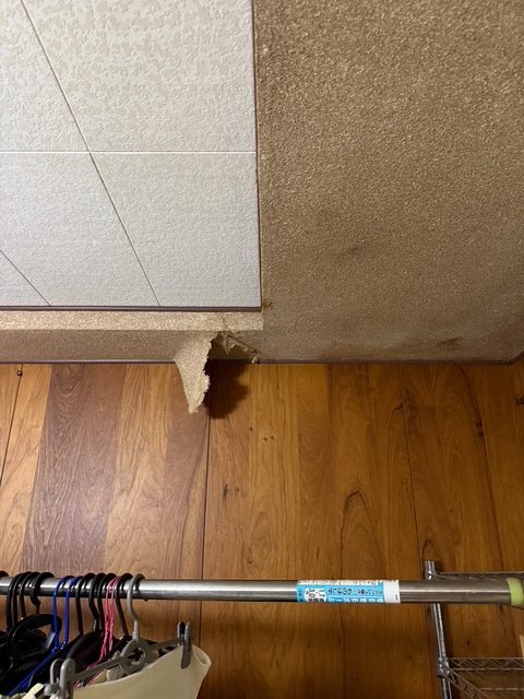 雨漏りで天井のクロスが剥がれてきています