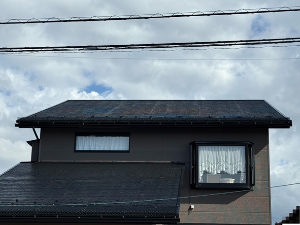 ゆきもちくん設置