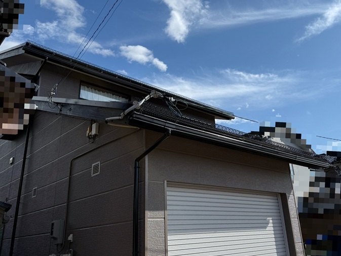 ゆきもちくん設置