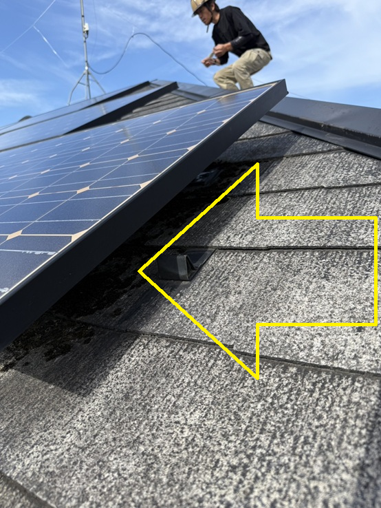 太陽光パネルの下にコケ
