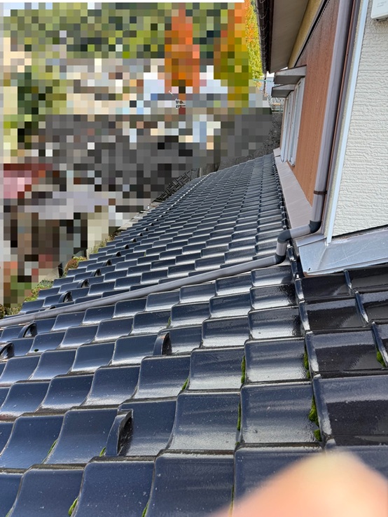 瓦にコケが生えています