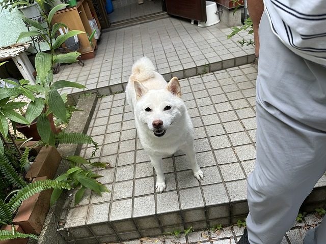 お客様との社zシン