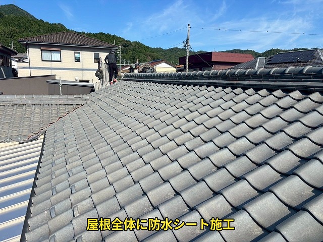 瓦屋根全体の様子