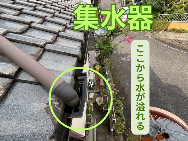 多治見市星ヶ台にて詰まりのある集水器の様子