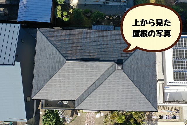 上から見た屋根の様子