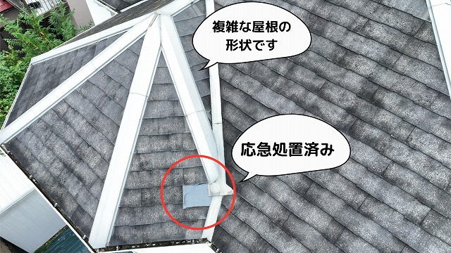 カラーベストの抜け落ち　応急処置済み