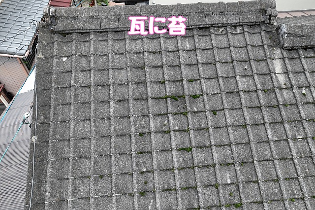 多治見市生田町瓦に苔