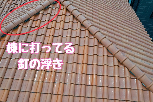 春日井市神屋　釘の浮き