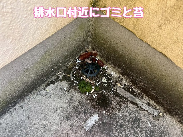 瑞浪市　排水交付金にごみと苔