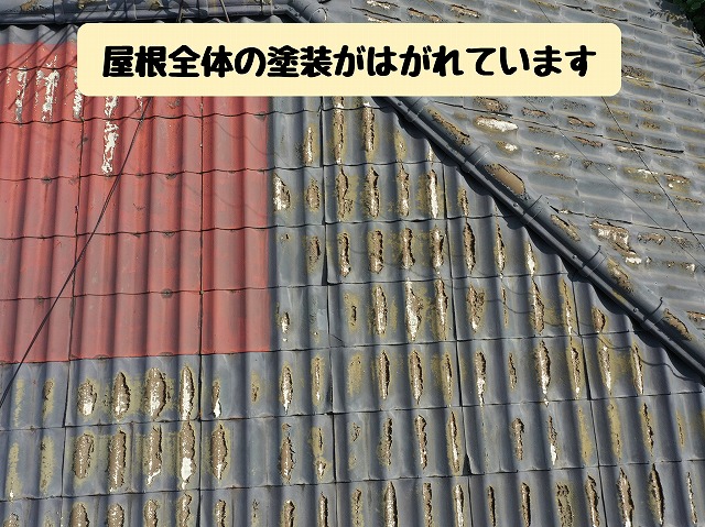 広範囲にわたる劣化箇所の確認