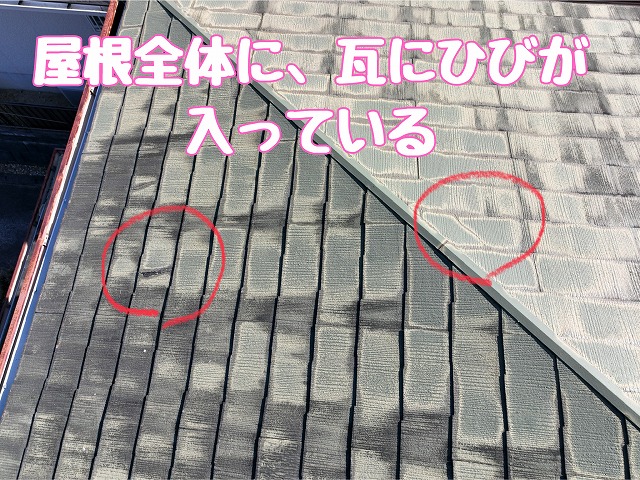 屋根全体のひび状況