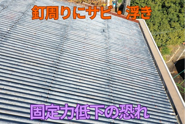 屋根表面アップ – 表面塗膜の劣化とサビが進行し、防水性が低下している様子。